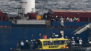 Ukraine: le premier chargement de c&eacute;r&eacute;ales inspect&eacute; pr&egrave;s d'Istanbul