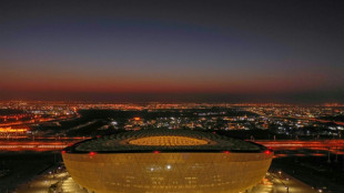 Fu&szlig;ballfans w&uuml;nschen sich von Weltverband Entsch&auml;digungen f&uuml;r WM-Arbeiter in Katar