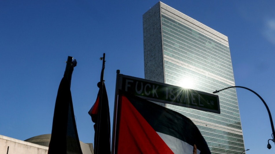 "Le temps de la paix est venu": la France reconna&icirc;t "l'Etat de Palestine" &agrave; l'ONU