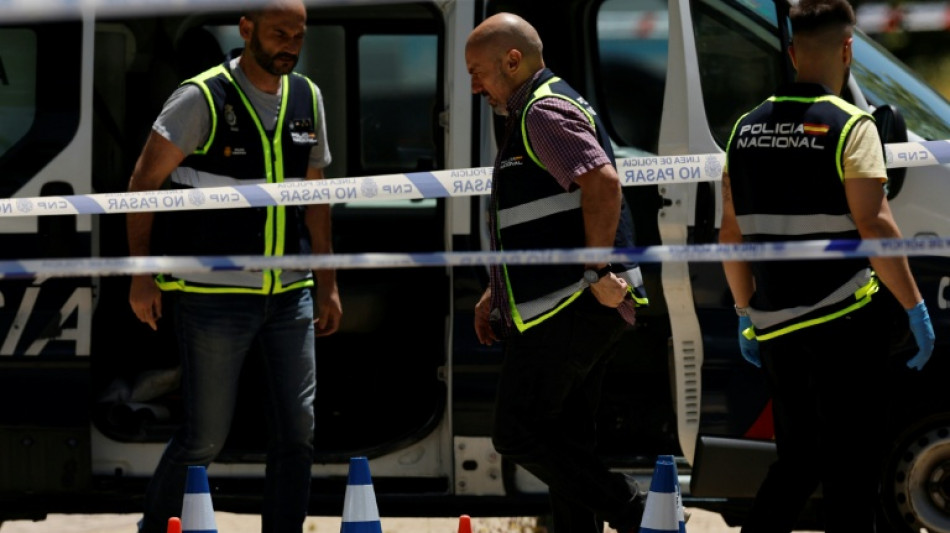  Arrestan en Alemania al hombre que presuntamente asesin&oacute; a un exdiputado ucraniano en Espa&ntilde;a 