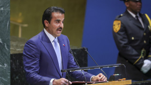 Premier Qatar, Hamas ha promesso che studier&agrave; il piano