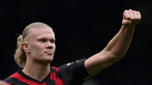 Angleterre: Manchester City prend la premi&egrave;re place, United et Newcastle au rendez-vous, Tottenham rechute