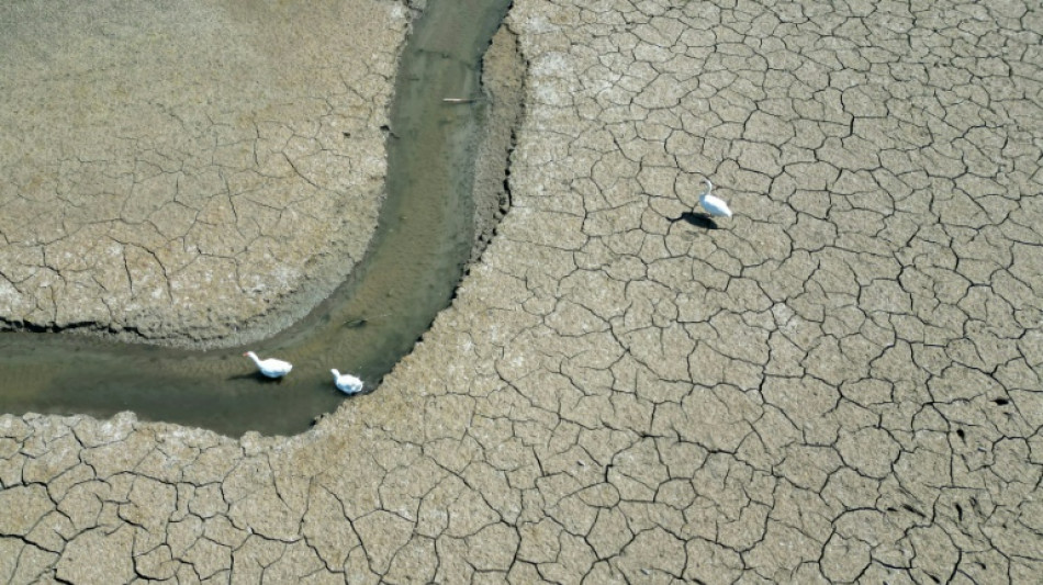  2025 en passe d'être une des trois années les plus chaudes 