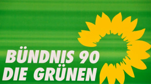 Gr&uuml;ne fordern Bund-L&auml;nder-Taskforce zum Schutz der Demokratie