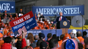 Stocks, dollar decline as Trump ups steel tariffs