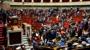 Retraites: les régimes spéciaux au menu de l'Assemblée entre deux mobilisations