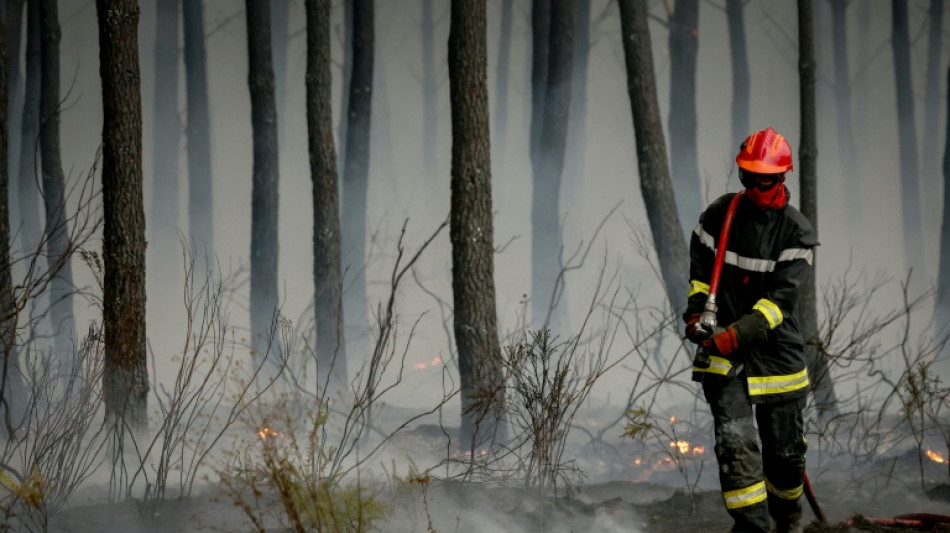  Incendios forestales: &iquest;qu&eacute; impacto tiene el humo en la salud? 