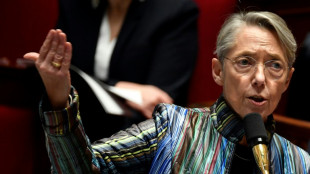 Coupures d'&eacute;lectricit&eacute;: Borne critique des "propos maladroits" d'Enedis