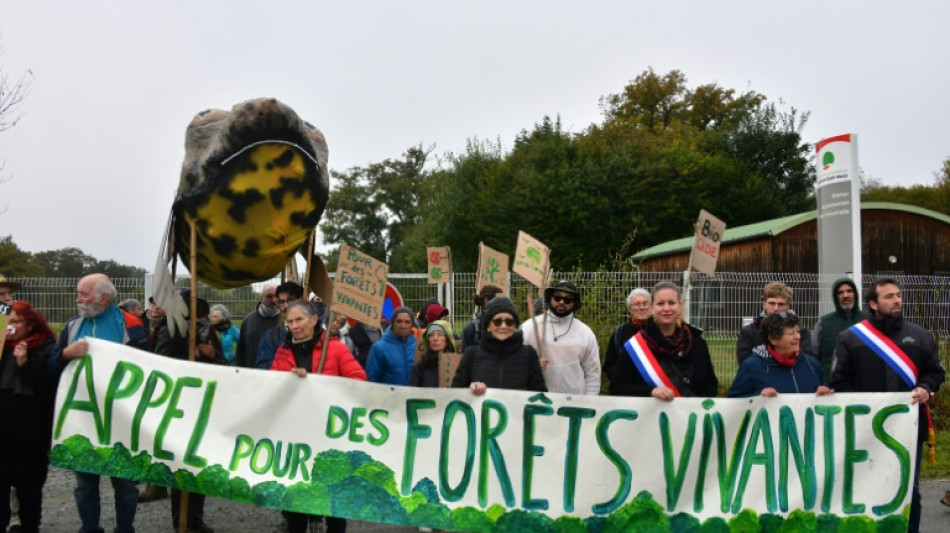 Creuse : manifestation d'opposants contre "l'industrialisation de la for&ecirc;t"