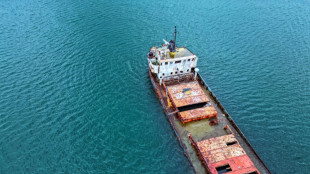 Uma chance para a vida marinha no cemit&eacute;rio de navios do Panam&aacute;