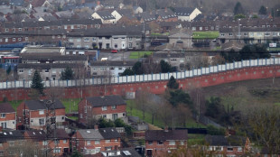 &iquest;Refer&eacute;ndum sobre la unificaci&oacute;n de Irlanda? Una opci&oacute;n lejana y controvertida