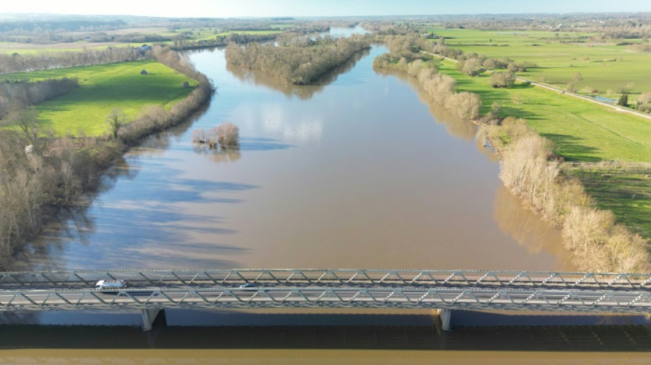 Biodiversit&eacute; : les eurod&eacute;put&eacute;s valident de justesse un texte-cl&eacute; du Pacte vert
