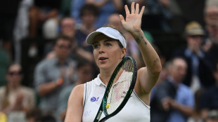 Wimbledon: la russa Pavlyuchenkova si qualifica per i quarti
