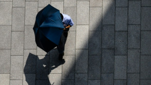 Gr&uuml;ne fordern von Regierung umfassendes Ma&szlig;nahmenpaket zum Hitzeschutz
