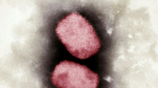 Diskussion &uuml;ber Impfschutz gegen Affenpocken in Deutschland