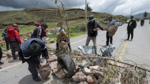 P&eacute;rou: le gouvernement ordonne le d&eacute;blocage des routes par la police et l'arm&eacute;e