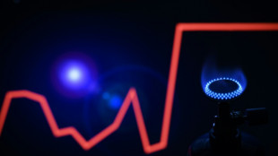 Le prix de gros du gaz europ&eacute;en &agrave; son plus bas depuis le d&eacute;but de la guerre en Ukraine