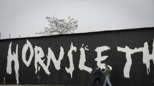 La polic&iacute;a danesa buscaba una bicicleta y encontr&oacute; decenas de obras de arte robadas