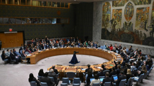 USA legen Veto gegen pal&auml;stinensische UN-Mitgliedschaft ein