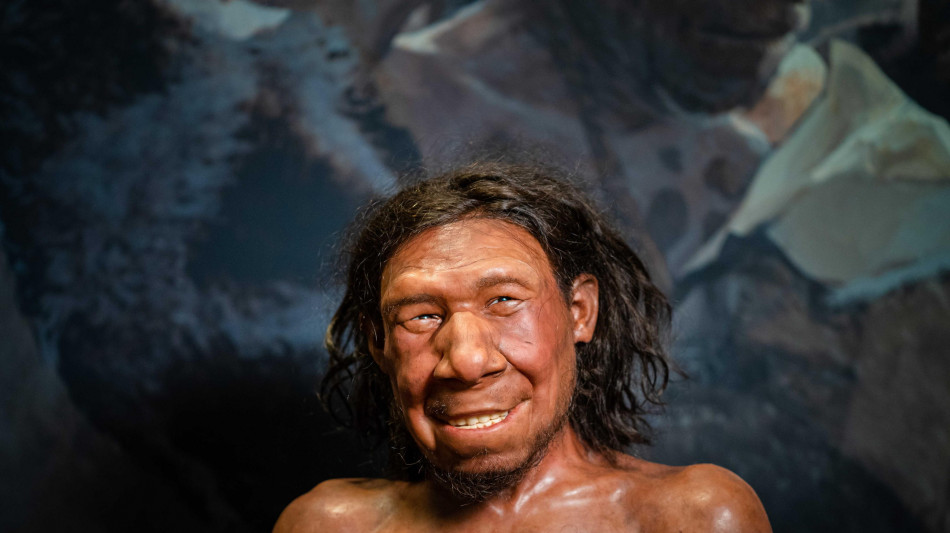  Tra Sapiens e Neanderthal una cultura condivisa per 20mila anni 