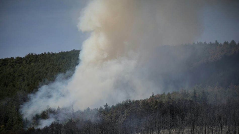  Dans l'Aude, l'incendie de Puilaurens est "fix&eacute;" 