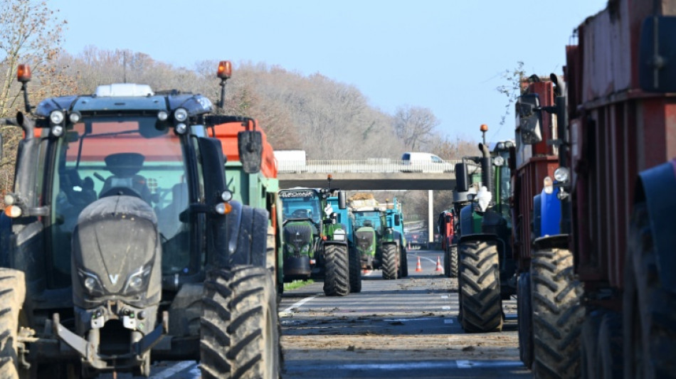 'Stop the slaughter': French farmers block roads over cow disease cull