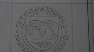 Internationaler W&auml;hrungsfonds stellt Weltwirtschaftsausblick vor 