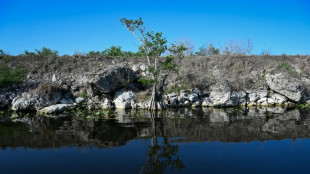 Trump-Anordnung: Ausl&auml;nder m&uuml;ssen in US-Nationalparks mehr zahlen