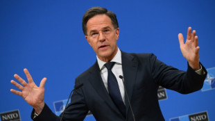 Rutte fordert neue Nato-Quote "n&ouml;rdlich von drei Prozent"