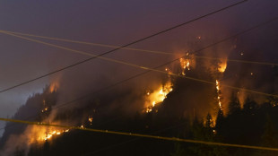 Canada wildfires burn area the size of Croatia