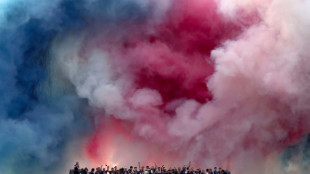 Francia detiene a casi 80 personas durante la acogida triunfal del PSG