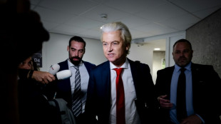 Wilders fait tomber la coalition aux Pays-Bas