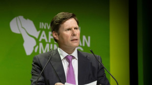 Anglo American se retira del mercado del n&iacute;quel y vender&aacute; sus explotaciones en Brasil