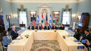 US-Vertreter: Trump empf&auml;ngt Vertreter Israels und Libanons im Wei&szlig;en Haus