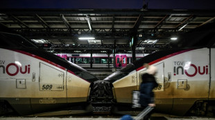 Gr&egrave;ve &agrave; la SNCF: les d&eacute;parts de No&euml;l perturb&eacute;s, le Nouvel An en suspens