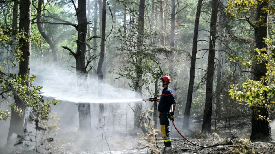 Incendie de Fontainebleau: 2.200 hectares br&ucirc;l&eacute;s et des pompiers qui restent "tr&egrave;s vigilants"