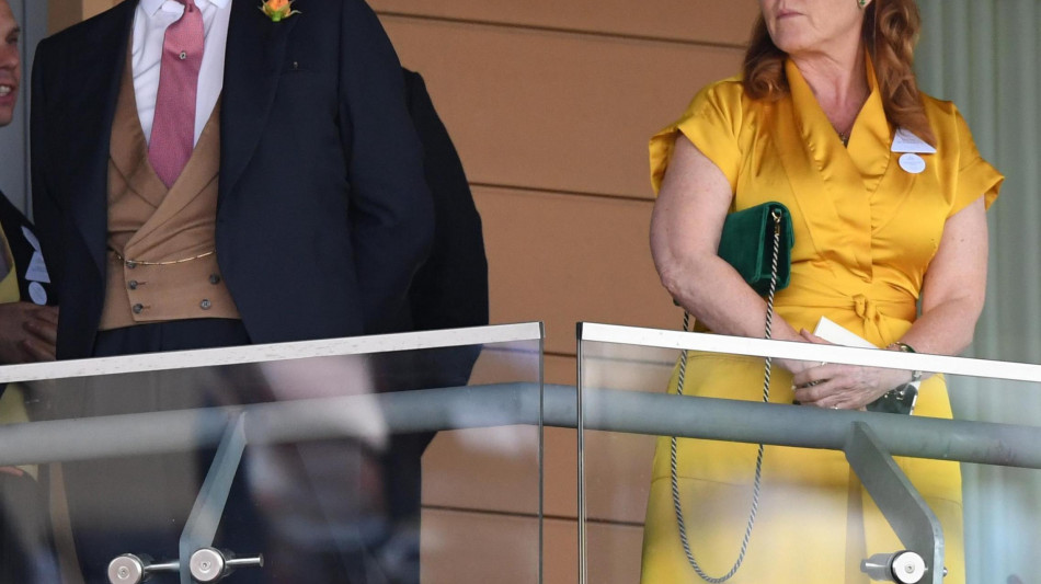  Indagine su Andrea per il caso Epstein, 'non ha restituito un penny ai reali' 