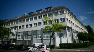 Servi&ccedil;os de intelig&ecirc;ncia da Alemanha qualificam AfD como partido 'extremista de direita'