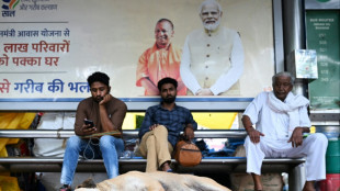 New Delhi to hide street dogs ahead of G20 summit