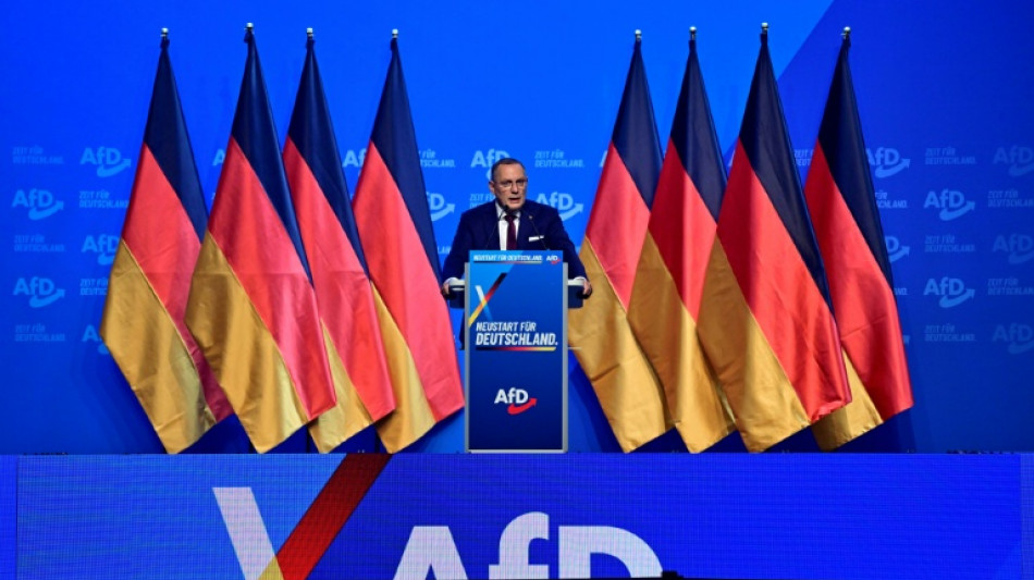  AfD-Doppelspitze im Amt best&auml;tigt - Weidel mit mehr Stimmen als Chrupalla 