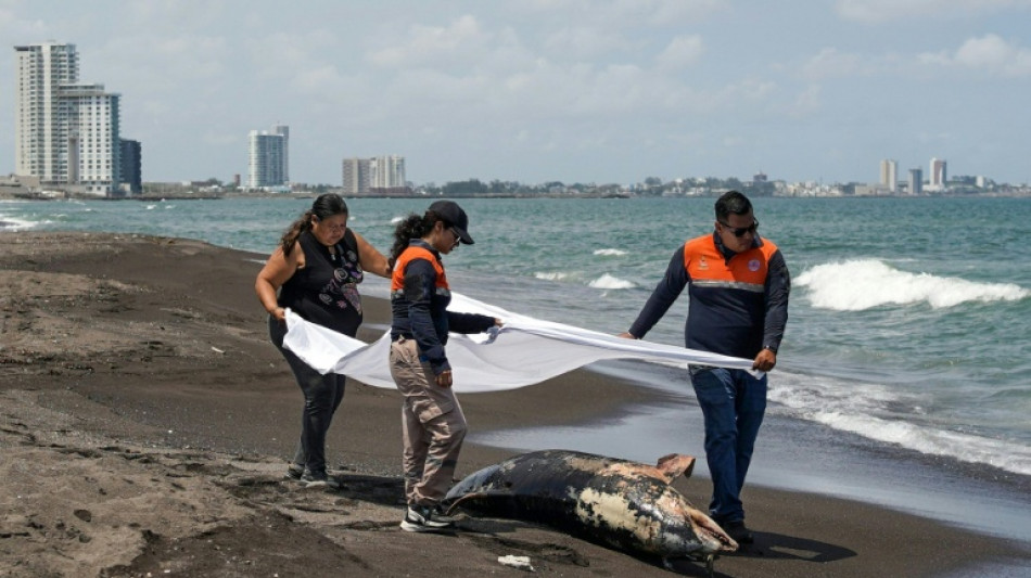  Retiran 30 toneladas de carburante derramado en el Golfo de M&eacute;xico  