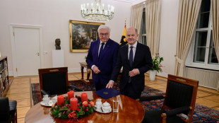 Steinmeier entscheidet am 27. Dezember &uuml;ber Bundestags-Aufl&ouml;sung