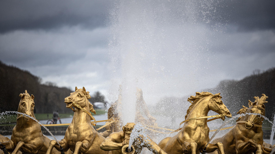 Bambina fragile morta per un malore a Versailles