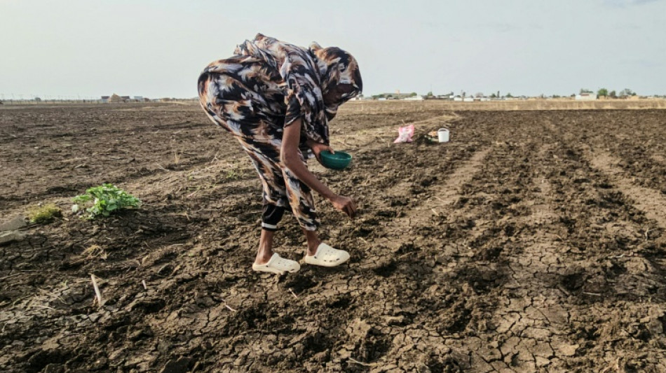  Estudo alerta que El Ni&ntilde;o pode causar 451 mil mortes adicionais no mundo at&eacute; fevereiro 