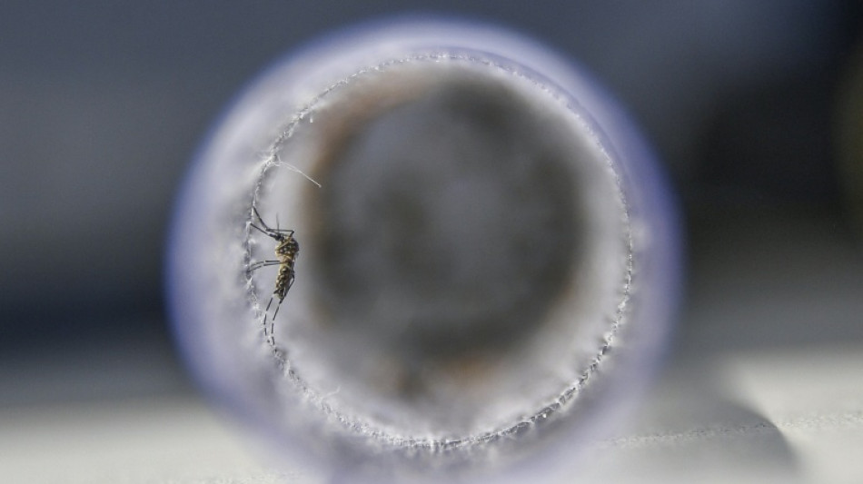  Brasil suspende una vacuna contra el dengue tras dos muertes sospechosas 