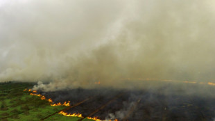 Indonesian city closes schools over peatland fire haze