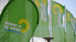Turbulenzen bei Gr&uuml;nen halten an: Vorstand der Gr&uuml;nen Jugend tritt aus Partei aus