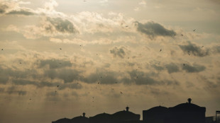 Programmation de l'énergie: l'Assemblée n'entend pas être court-circuitée