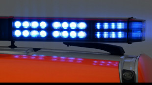 Lkw-Fahrer auf Autobahnparkplatz von rollendem Fahrzeug t&ouml;dlich verletzt