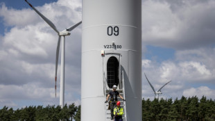 From coal pits to wind turbines, Polish miners rise to the occasion